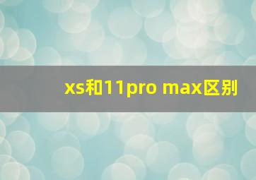 xs和11pro max区别